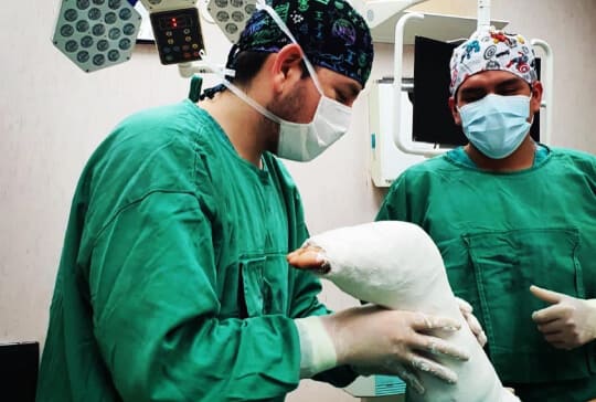 fractura de mano en Lima Perú